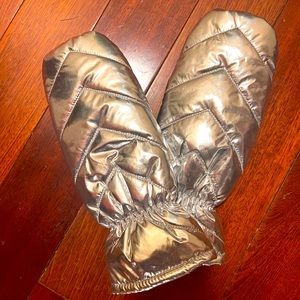 Silver Water-repellent Padded Mittens